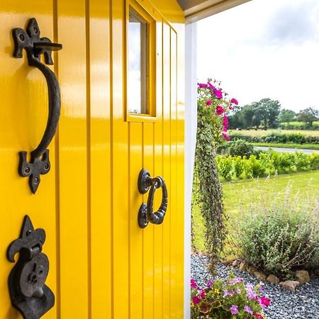 Katie'S Cottage Bellaghy Exteriér fotografie