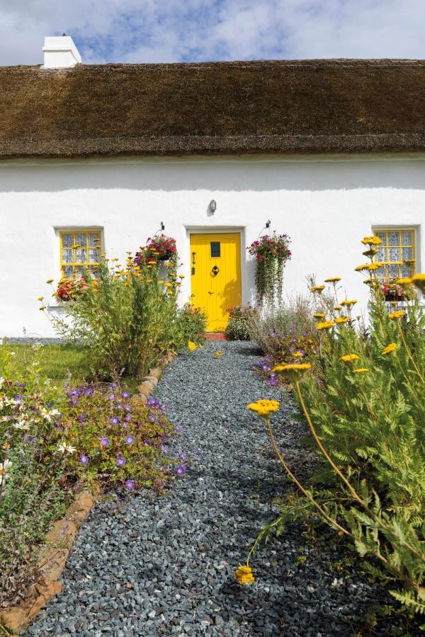 Katie'S Cottage Bellaghy Exteriér fotografie