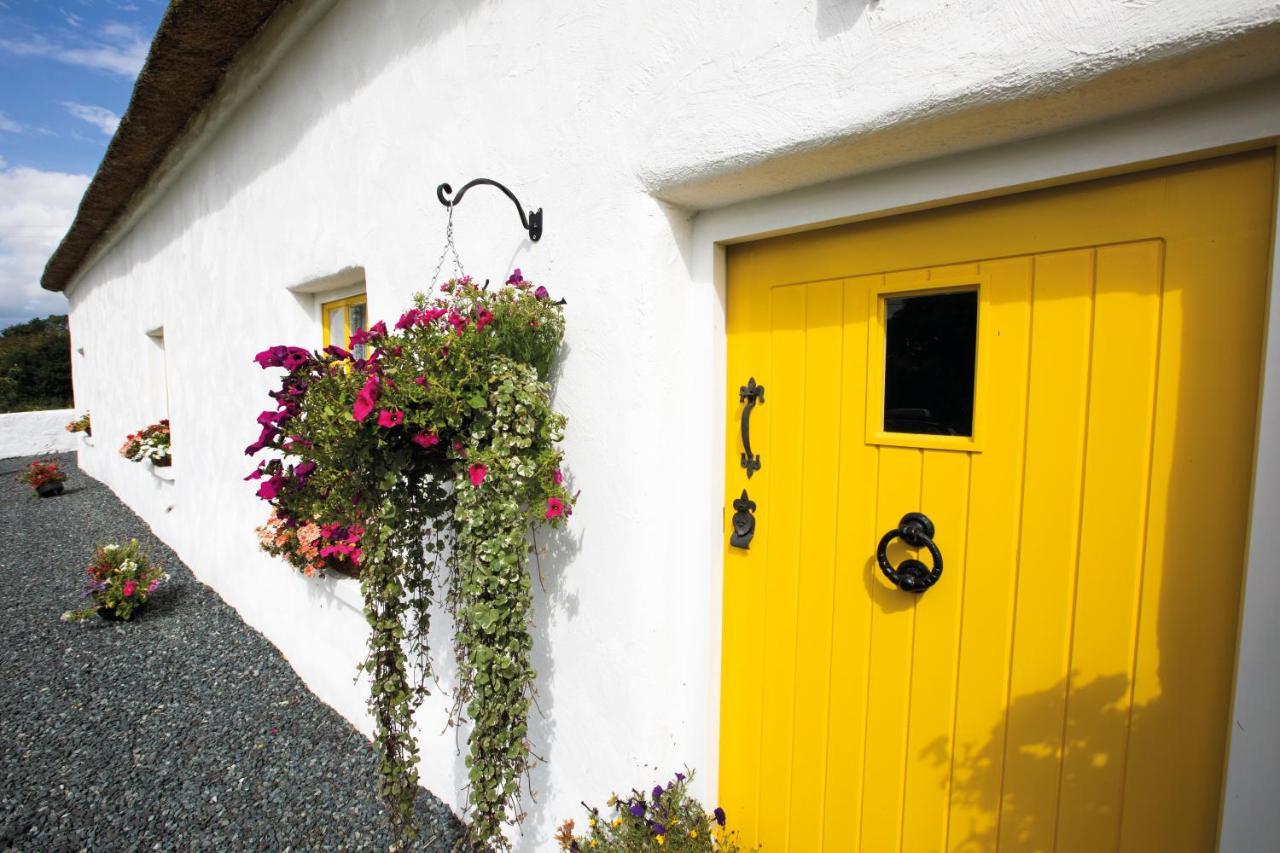 Katie'S Cottage Bellaghy Exteriér fotografie
